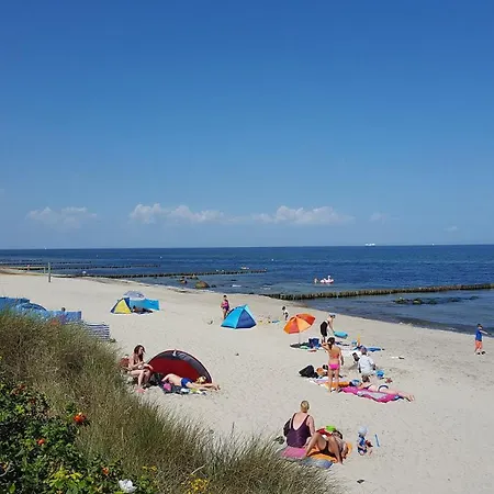 Appartement Duenengarten - 40-36